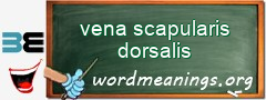 WordMeaning blackboard for vena scapularis dorsalis